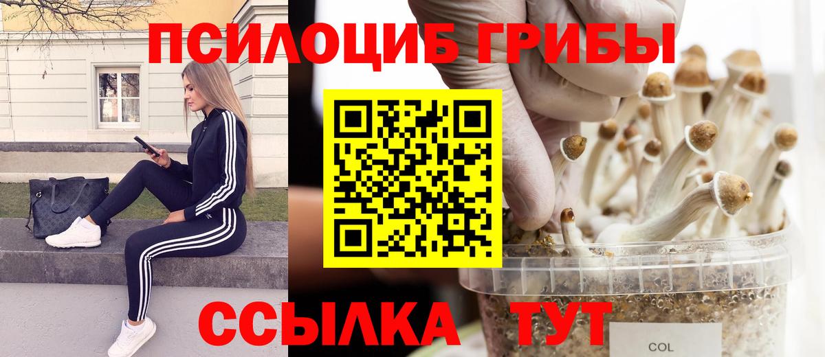 Батайск  Псилоцибиновые грибы Psilocybe  где можно купить наркотик  Галлюциногенные грибы мухоморы  Вход с VPN 